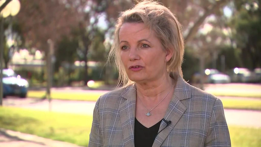 Anthony Albanese ‘obsessive about the politics from the previous’: Sussan Ley