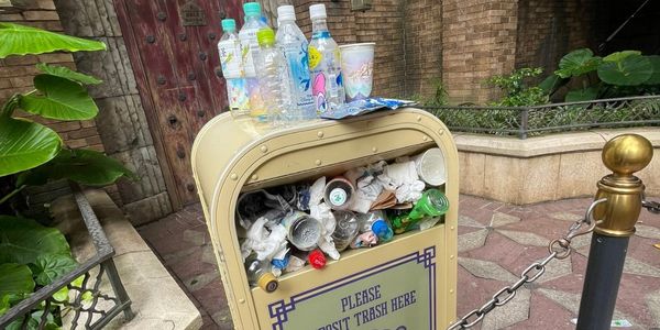 Visitors Surprised by Overflowing Trash at Disney Park