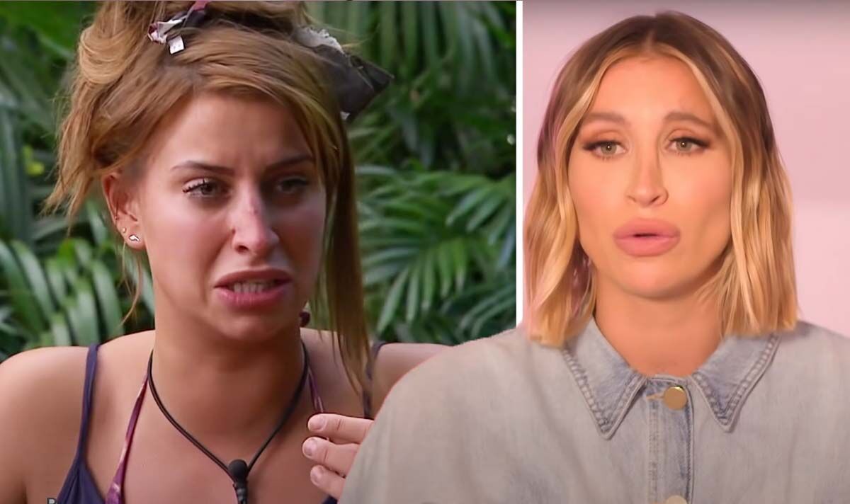 I am A Superstar’s Ferne McCann insists she has no regrets regardless of ‘most disgusting’ ordeal | Superstar Information | Showbiz & TV