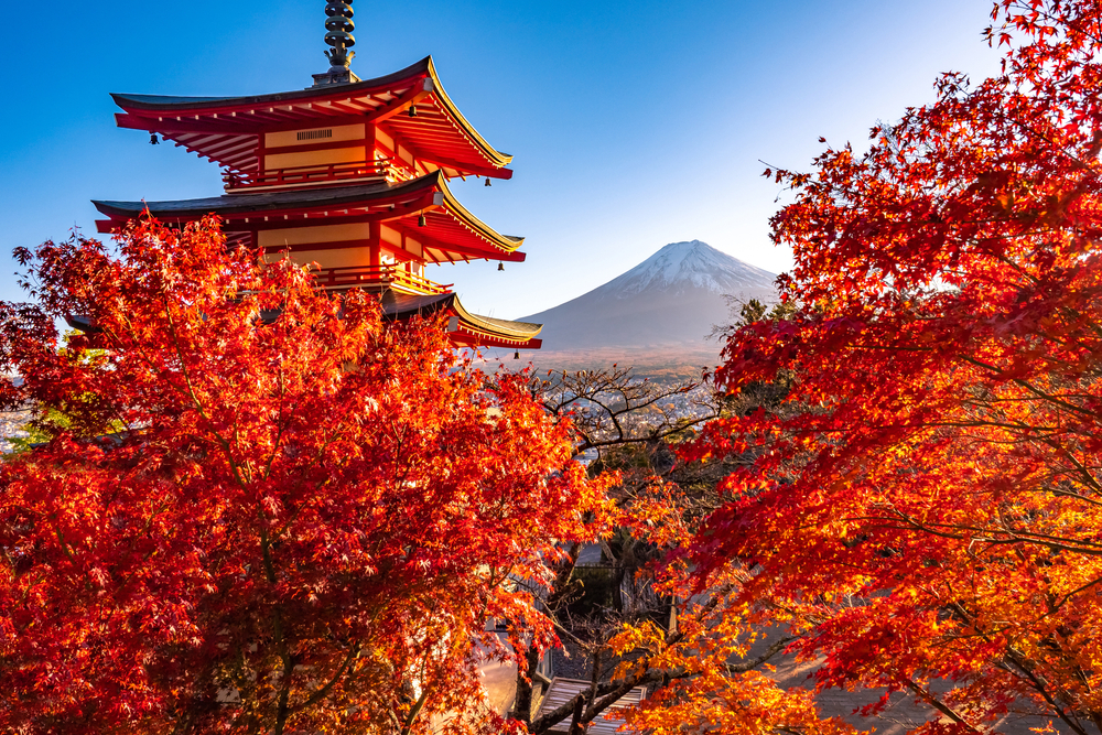 When Can I Journey to Japan? Pre-Arrival Journey Checks Might Quickly Be Ditched