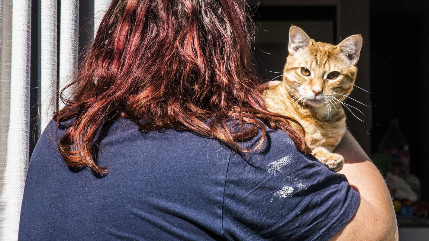 ‘He threatened to feed my cats to his canines’: how a pet refuge helped a lady escape a violent house