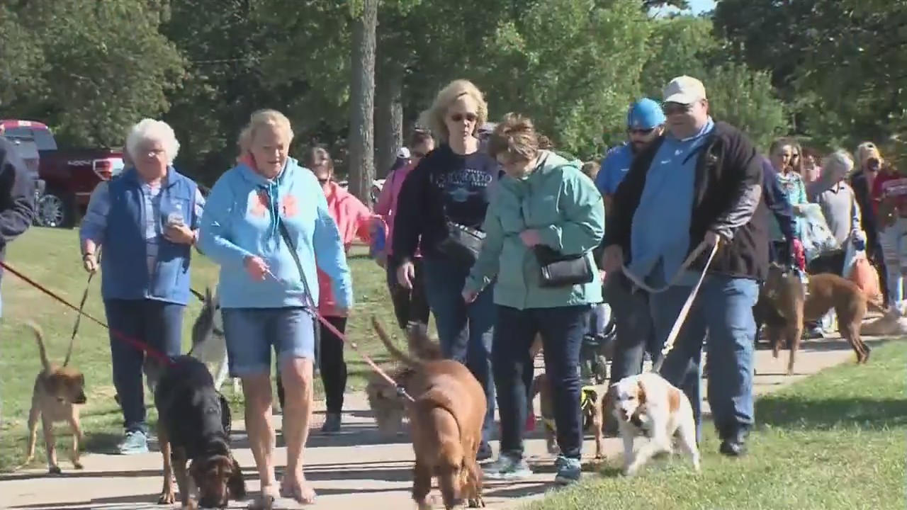 Annual Pets on Parade fundraiser coming again for pet mother and father