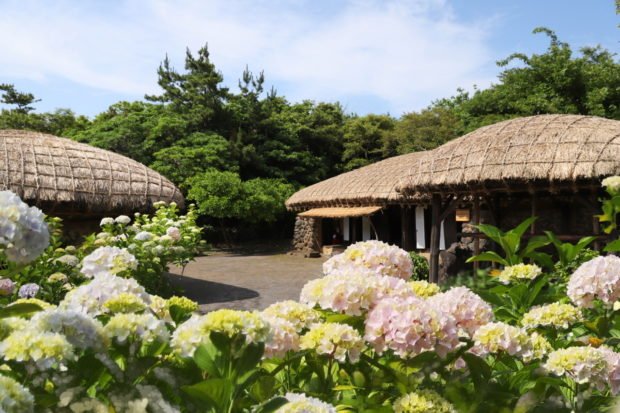 South Korea’s Jeju pushing to undertake e-travel authorization system for foreigners from visa-free international locations