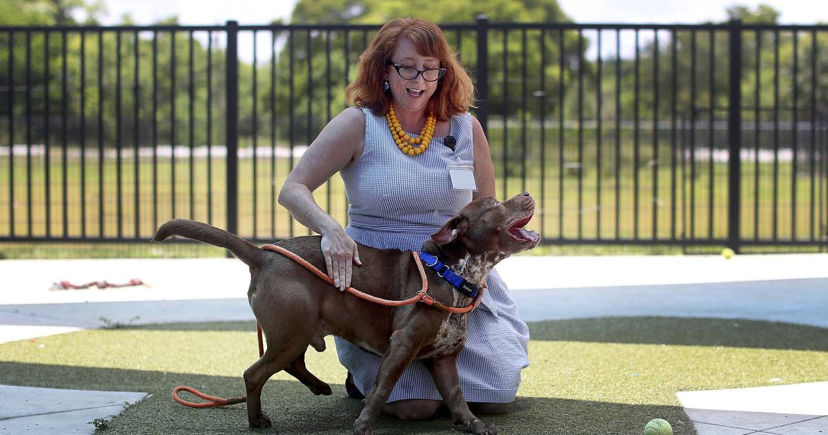 Taking good care of Broward’s pets is a neighborhood effort