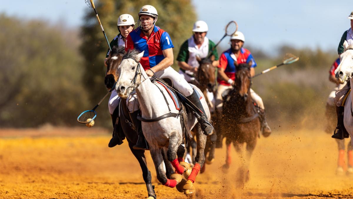 South Midlands too robust in Mullewa polocrosse carnival – The West Australian