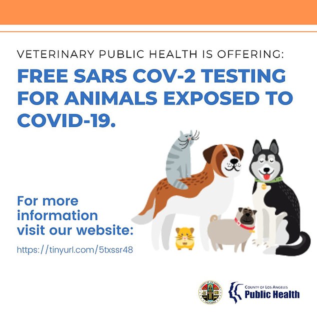 LA mocked for providing COVID checks to ANIMALS who may need the virus