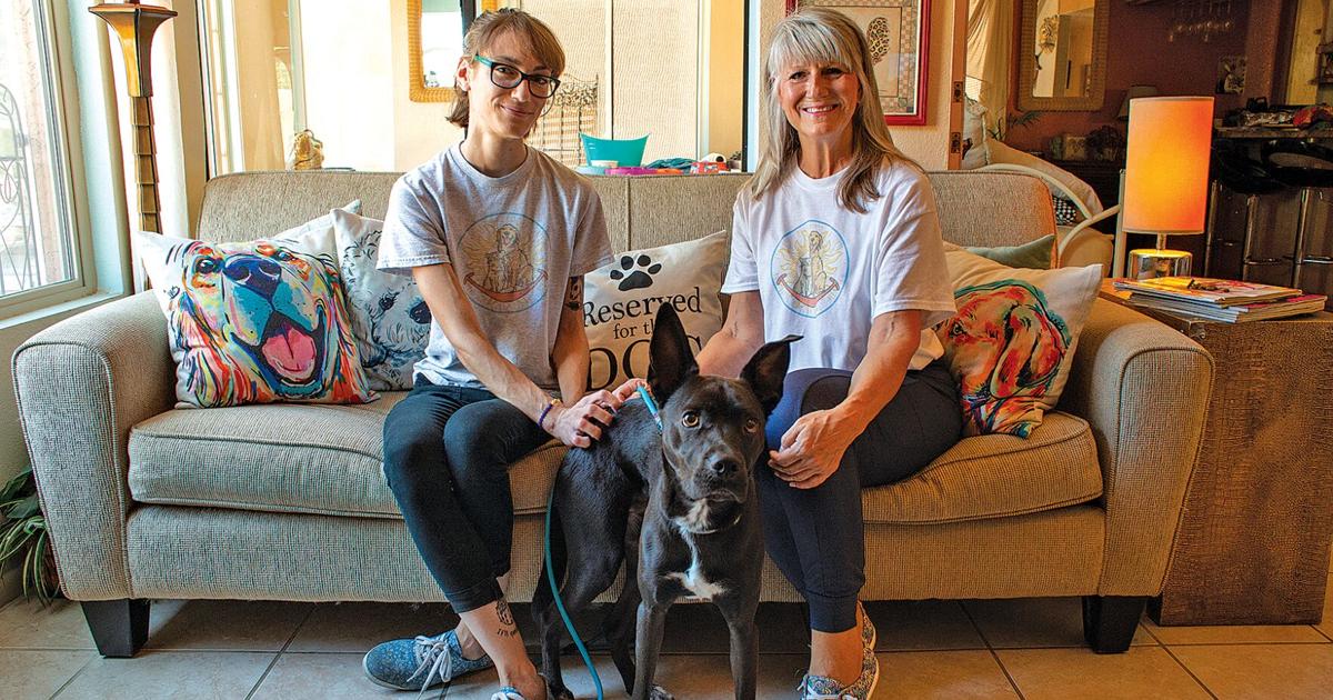 Ahwatukee pet sitter grateful for group assist | Enterprise