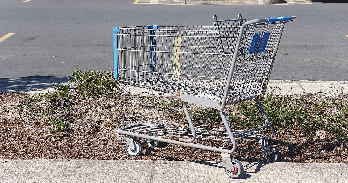 Newport adopts trespassing, buying cart legal guidelines | Information