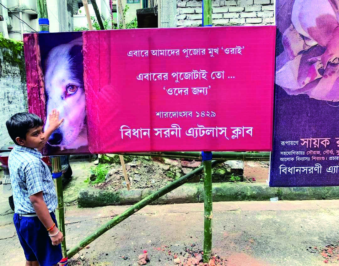 This 12 months, pets allowed at two Durga Puja pandals in Kolkata