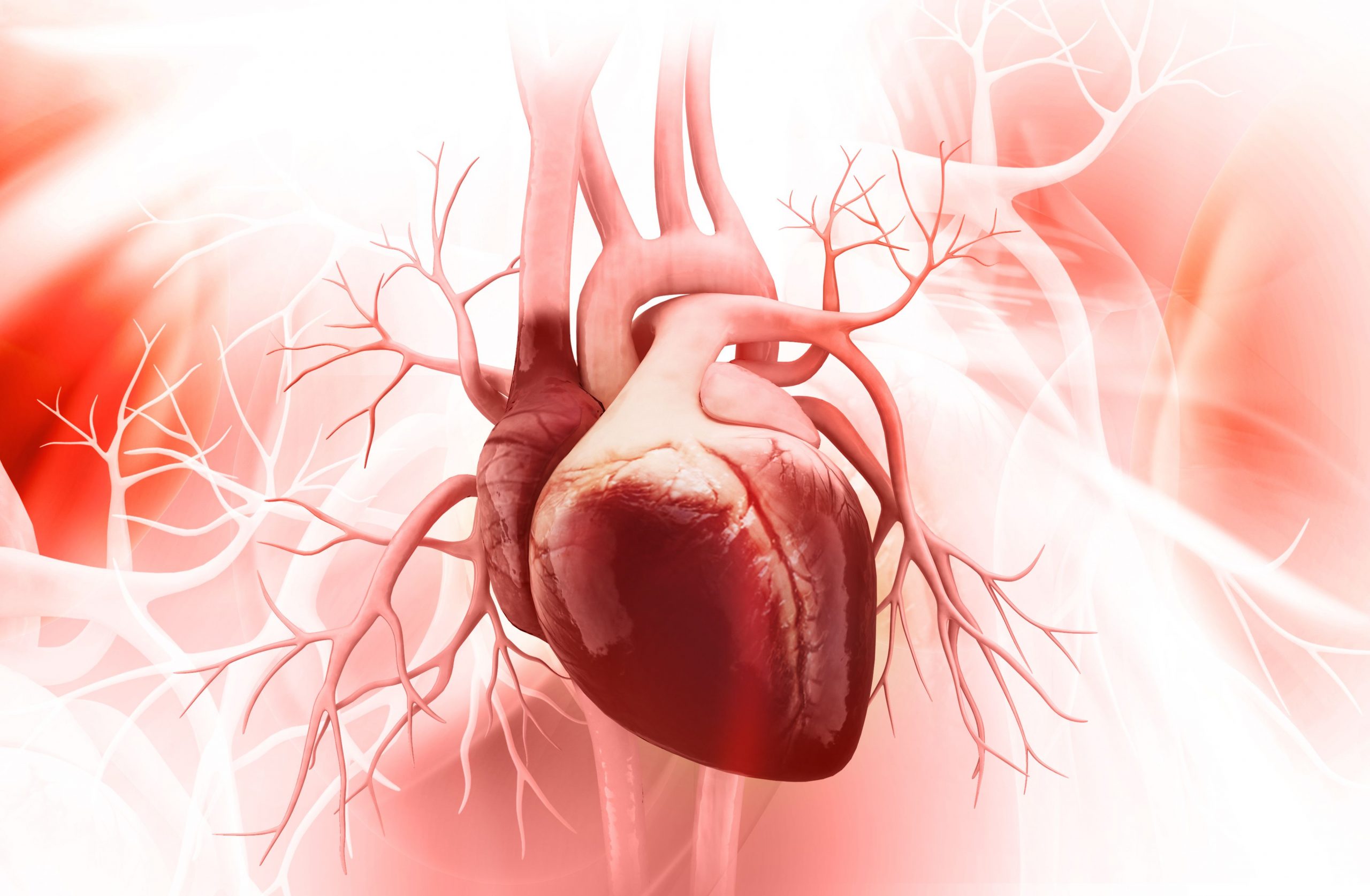 Extra Numerous, Medically Complicated Sufferers Hospitalized Much less Typically After House-Primarily based Cardiac Rehab