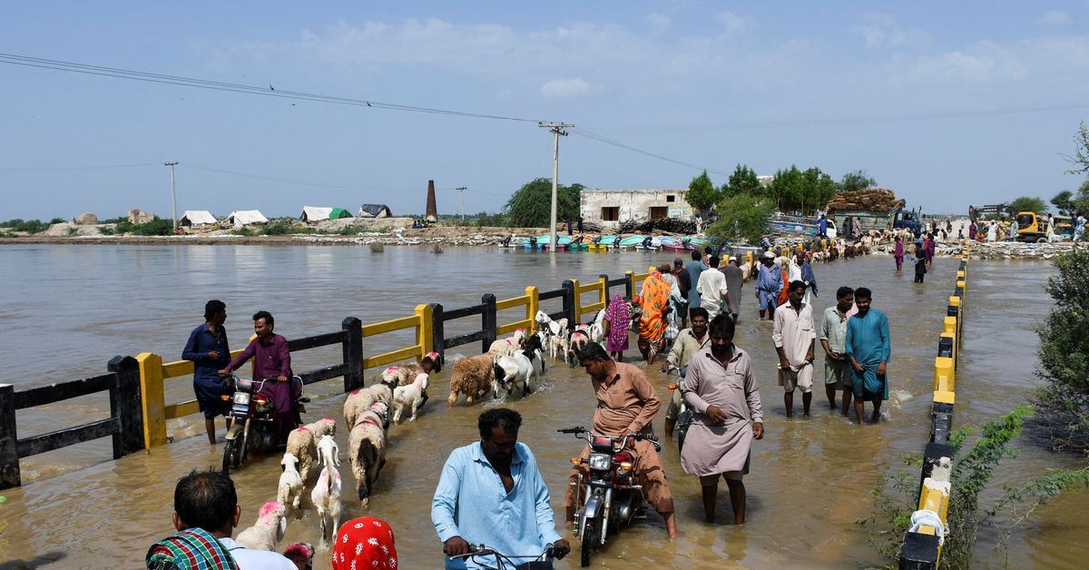 U.N. chief to journey to Pakistan to see ‘local weather disaster’