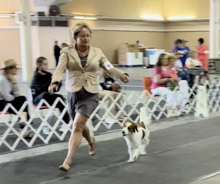 Santa Barbara Kennel Membership hosts present at Earl Warren Showgrounds