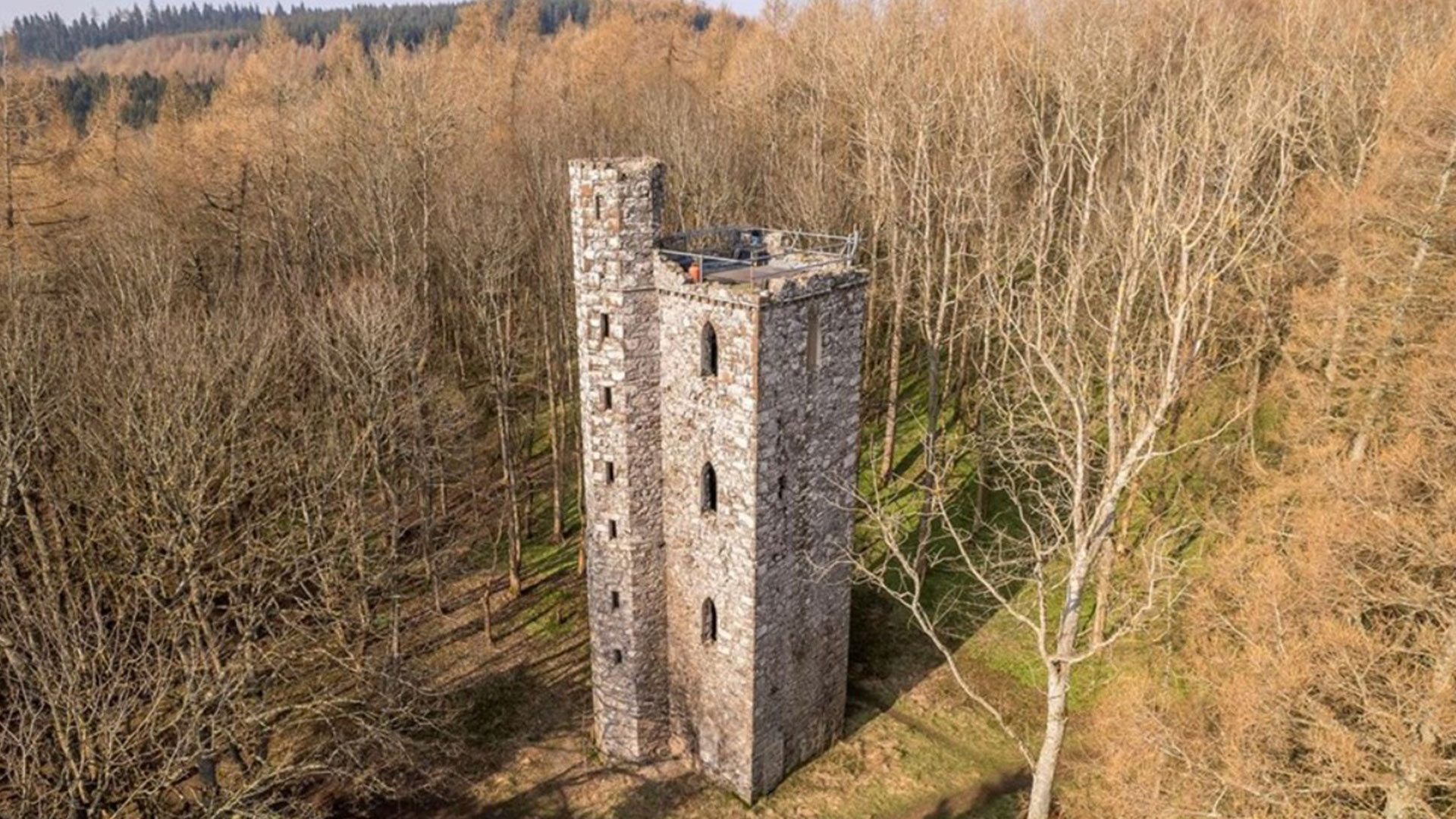 Beautiful Rapunzel-style citadel hidden within the forest might be yours for £80k – however there is a catch