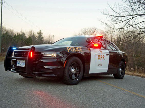 POLICE BRIEFS: Hold your pets cool: Elgin OPP