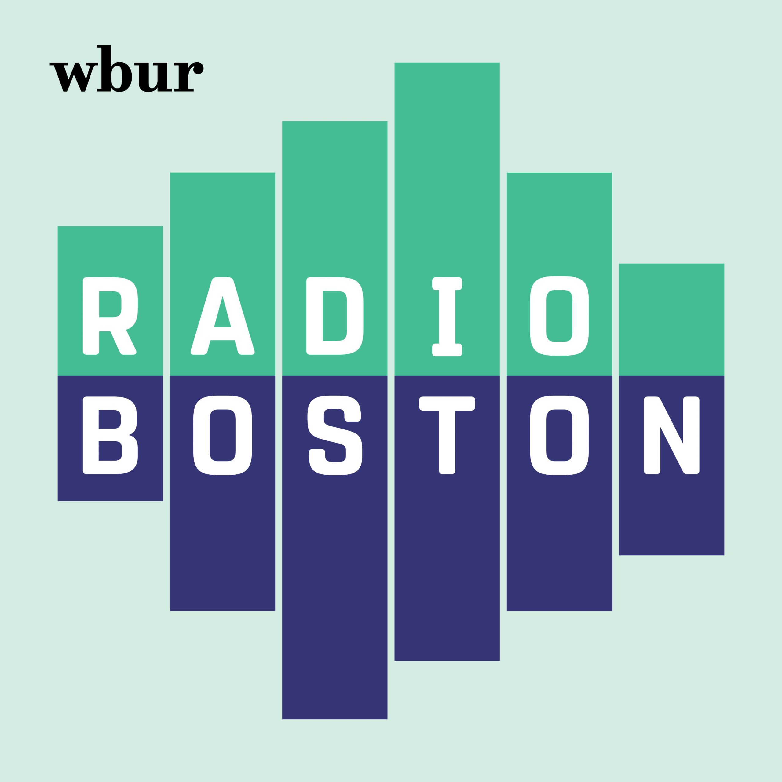 Boston's evolving comedy scene via the eyes of two native comics – WBUR Information