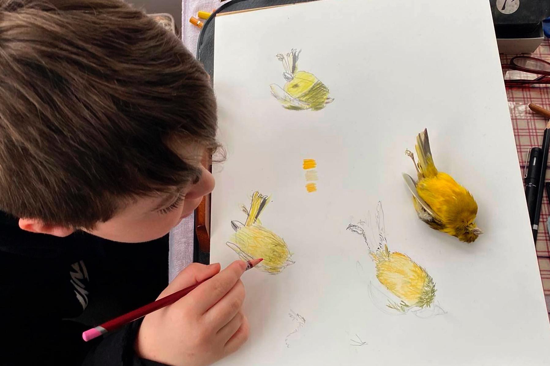 Human Interest, News | GWCT launches an expanded 2022 Schools Art Competition – AngusWorld