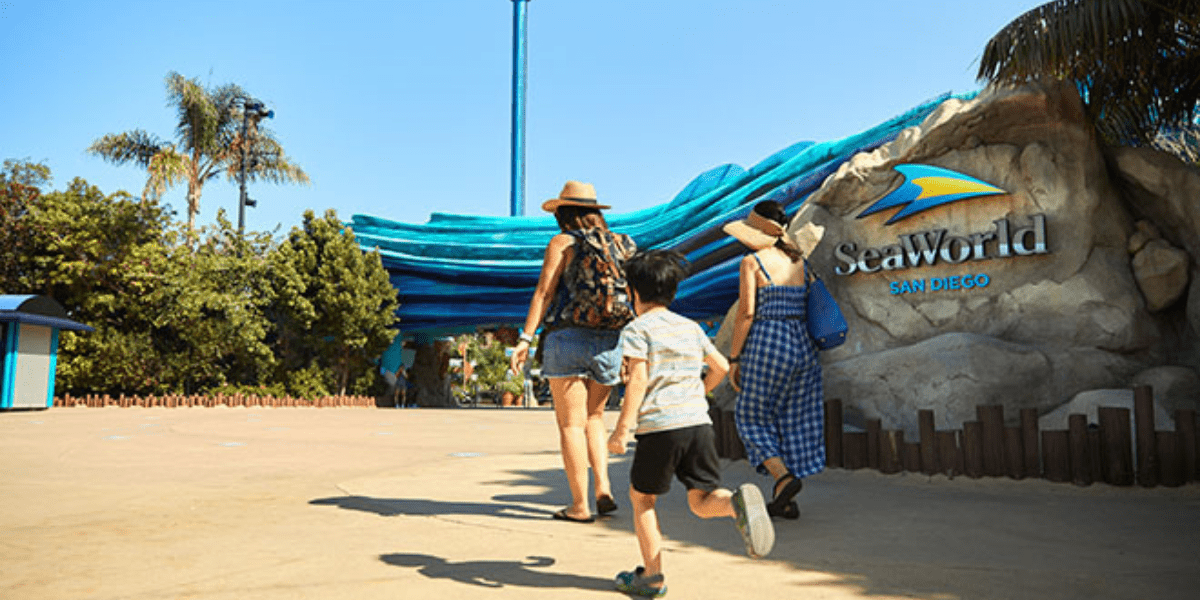 Main California Theme Park Almost M In Debt, Metropolis Demanding Quick Cost