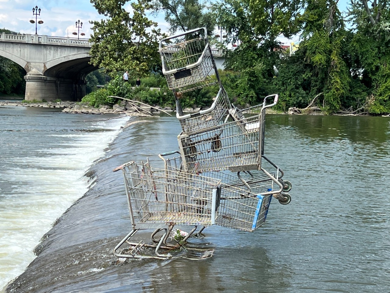 Buying carts defile the confluence | WIVT