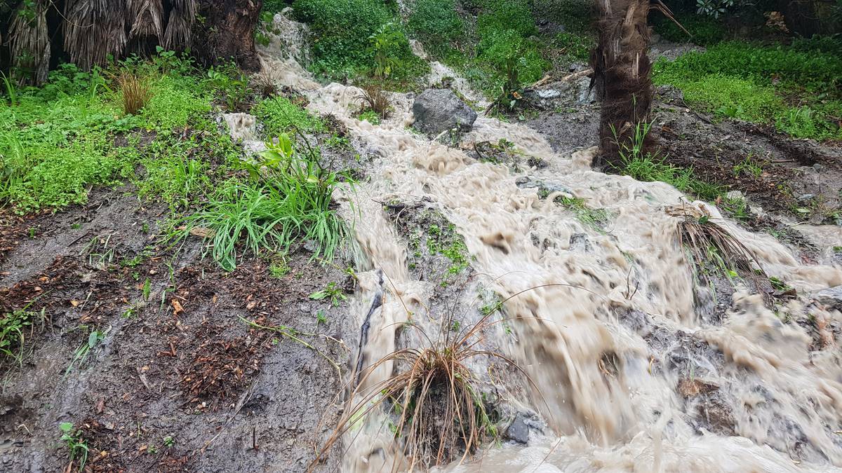 Climate: Man watches rocks fly previous as hill slips round his Nelson residence