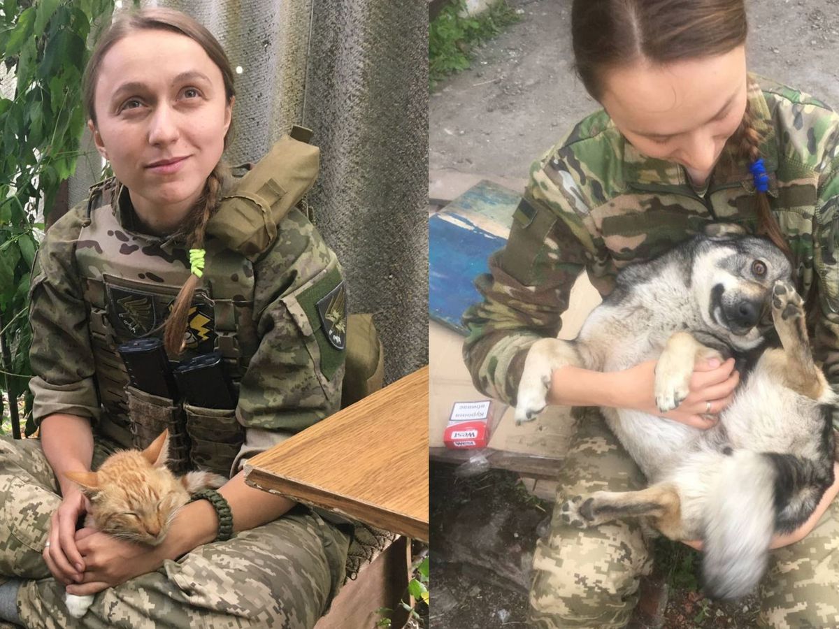 ‘Animal-loving’ Ukrainian sniper rescues deserted pets from battlefield