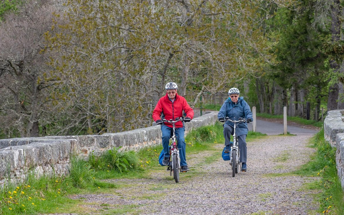 Share your views for lively journey within the Cairngorms