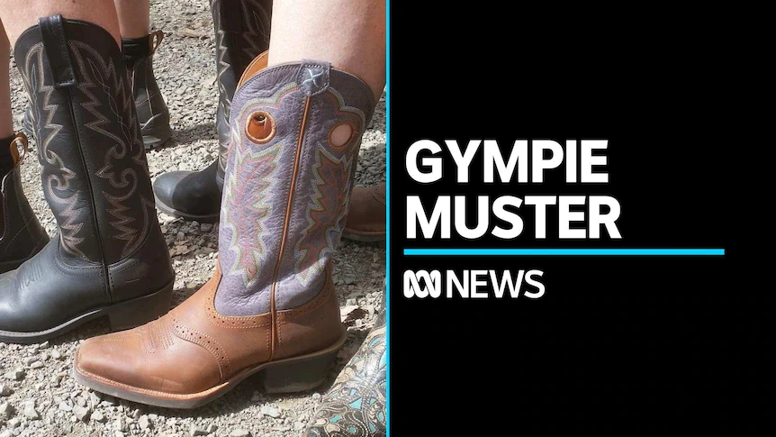 The Gympie music muster is back – ABC News