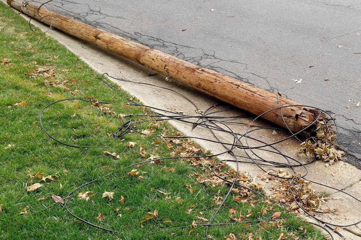 Woman Electrocuted After Mistaking Downed Energy Line for Stick