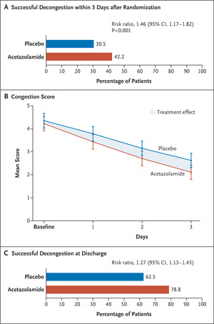 Acetazolamide in Acute Decompensated Coronary heart Failure with Quantity Overload