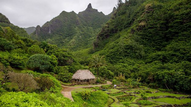 Hawaii’s historic land administration system