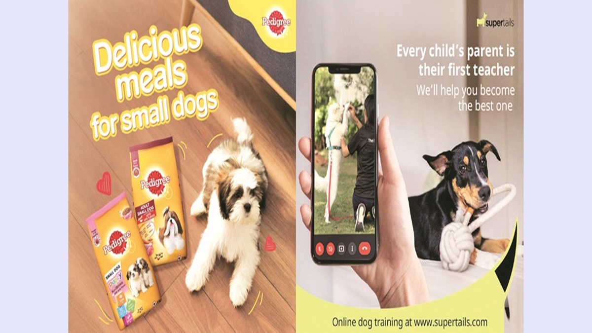 Pet care market: Not simply pet love