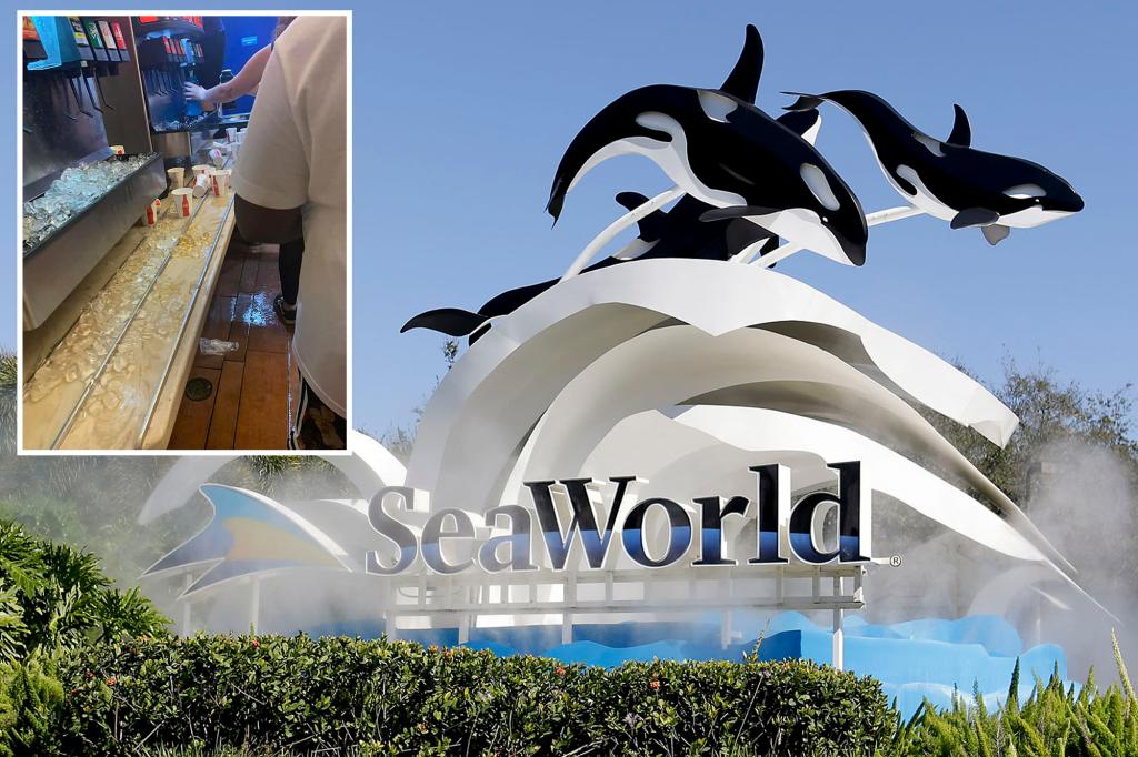 Sea World visitors shocked at trash overflowing theme park