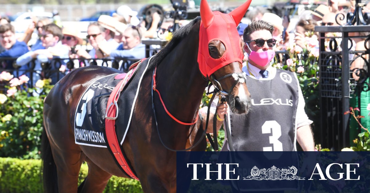 What the contenders will probably be carrying into the Melbourne Cup and Caulfield Cup