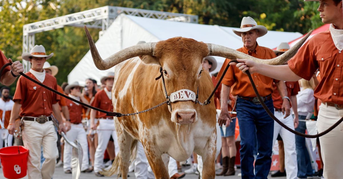 Bevo Blvd. and surrounding leisure complement Texas tailgating scene