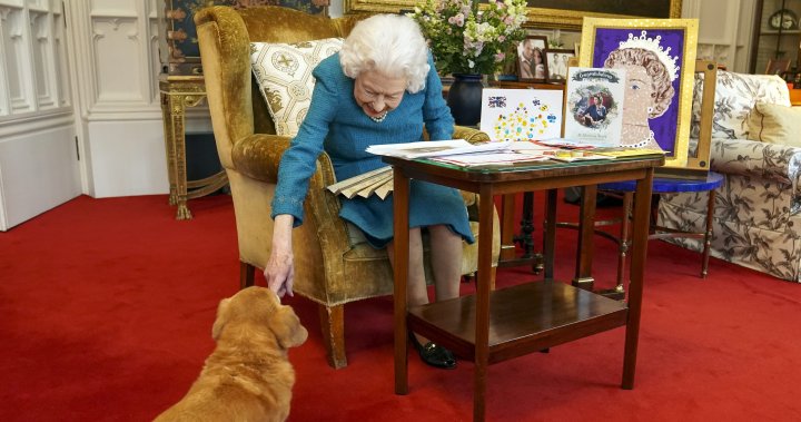 What’s going to occur to Queen Elizabeth II’s beloved pet canine now? – Nationwide