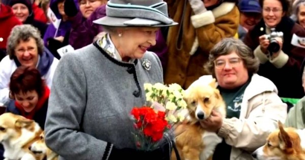 Queen Elizabeth’s corgis have an excellent dwelling: Prince William, World Information