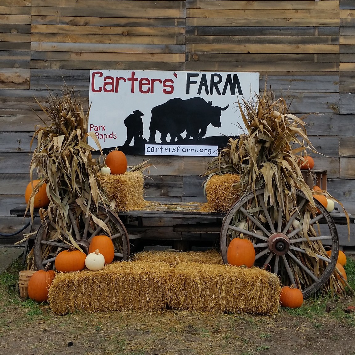 Carters’ Farm Wild West-Themed Fall Competition In Minnesota