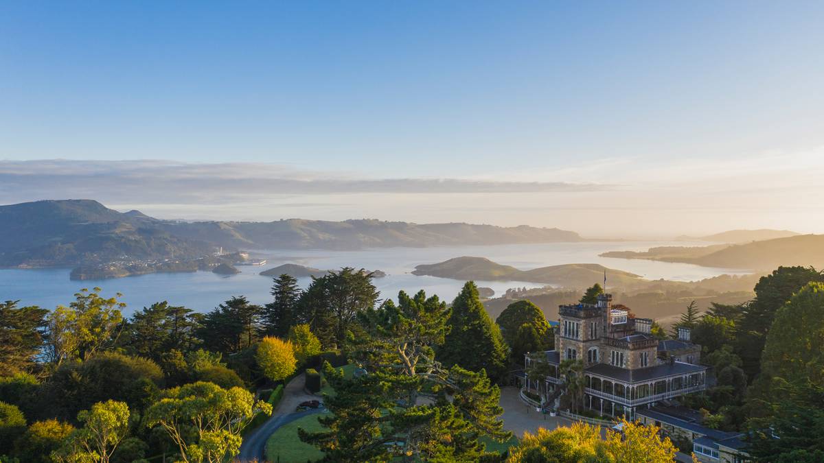 NZ Journey: Why Dunedin ticks the bins for all sorts of traveller