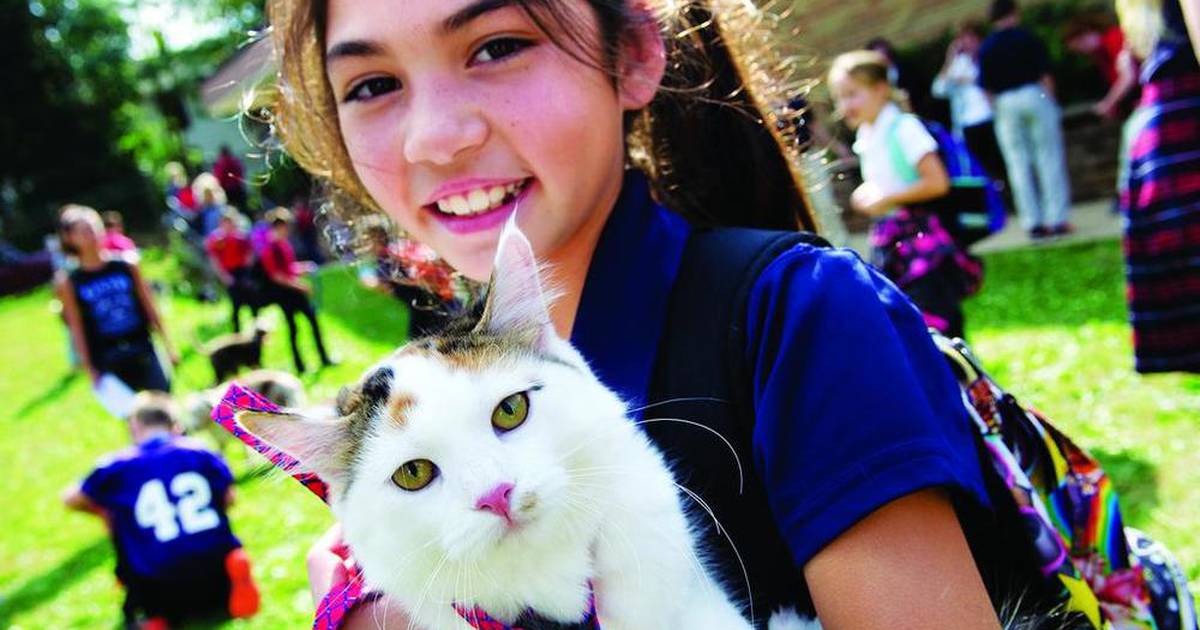 OSF in Ottawa, Streator to host blessing of pets – Shaw Native