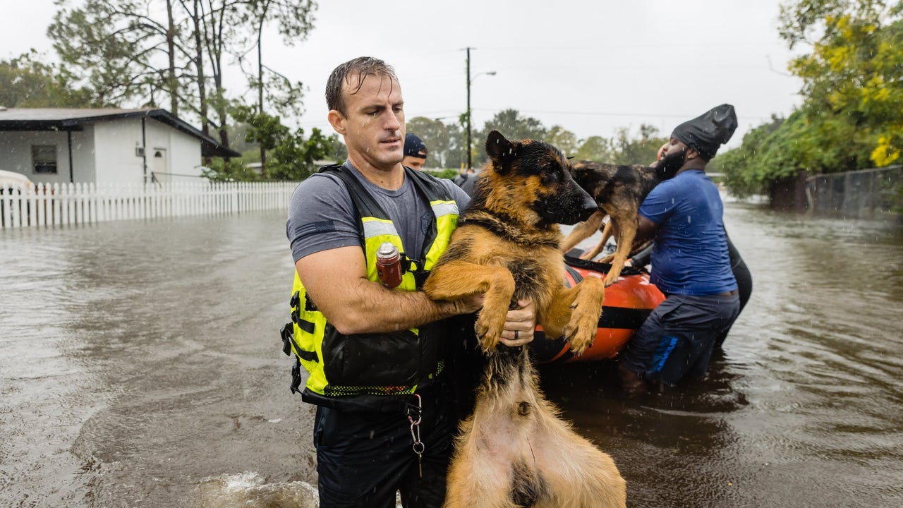 Images present Florida animals rescued from floodwaters throughout Hurricane Ian