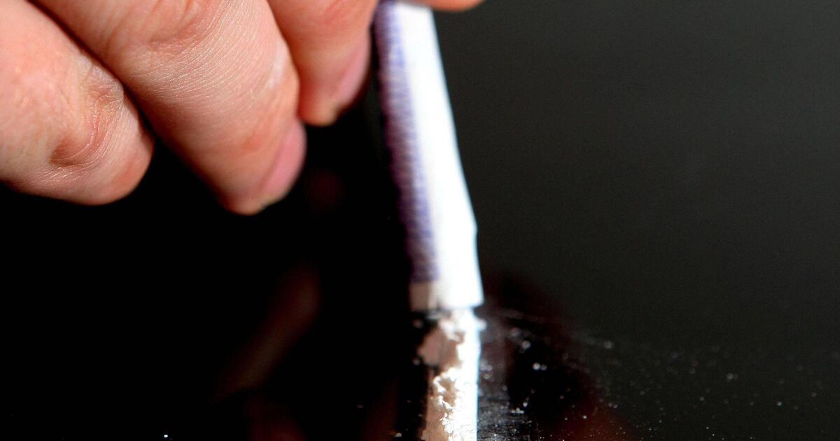 Corkman who snorted cocaine in buying centre bathrooms plans to turn into medicine counsellor 