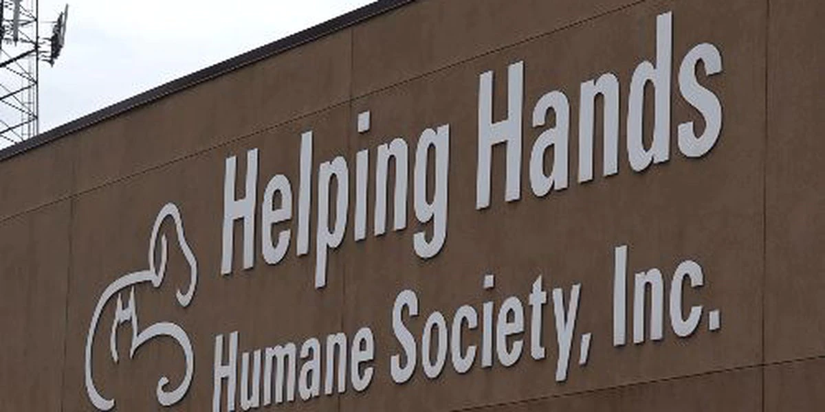 Helping Hands Humane Society to offer low-cost pet vaccine clinic