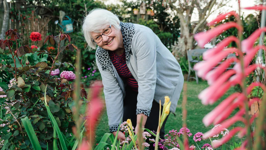 Gardeners comfortable to swap drought for wet season as Toowoomba celebrates Carnival of Flowers