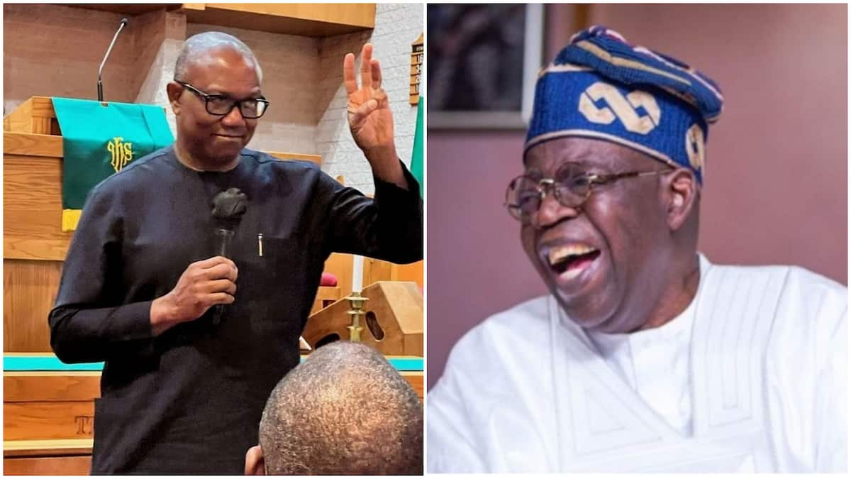 2023: Tinubu Lastly Replies Peter Obi, Says He Has Elevated to “Beer Parlor Gossip”