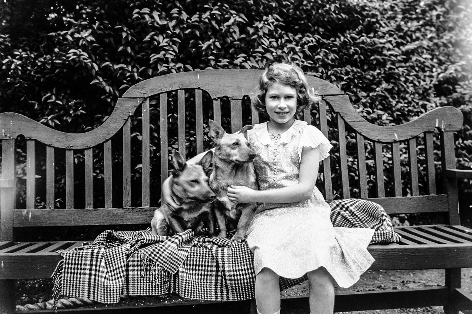 Queen Elizabeth useless: What’s going to actually occur to her corgis? – Slate