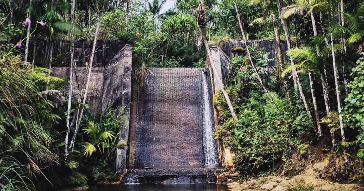 Boonie Stompers take it straightforward on a hike to Fonte Dam | Way of life