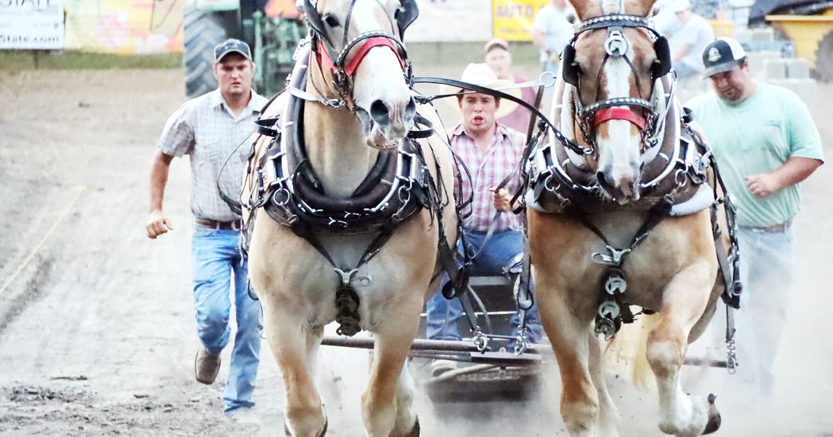 Pickering Horse Present to cheer 85 years with three days of occasions | Life