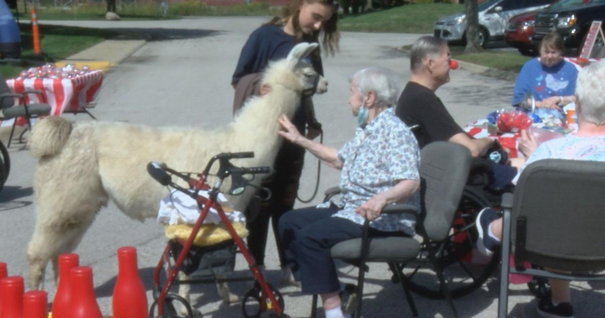 Cumberland Pointe Well being Campus Holds Carnival | Information