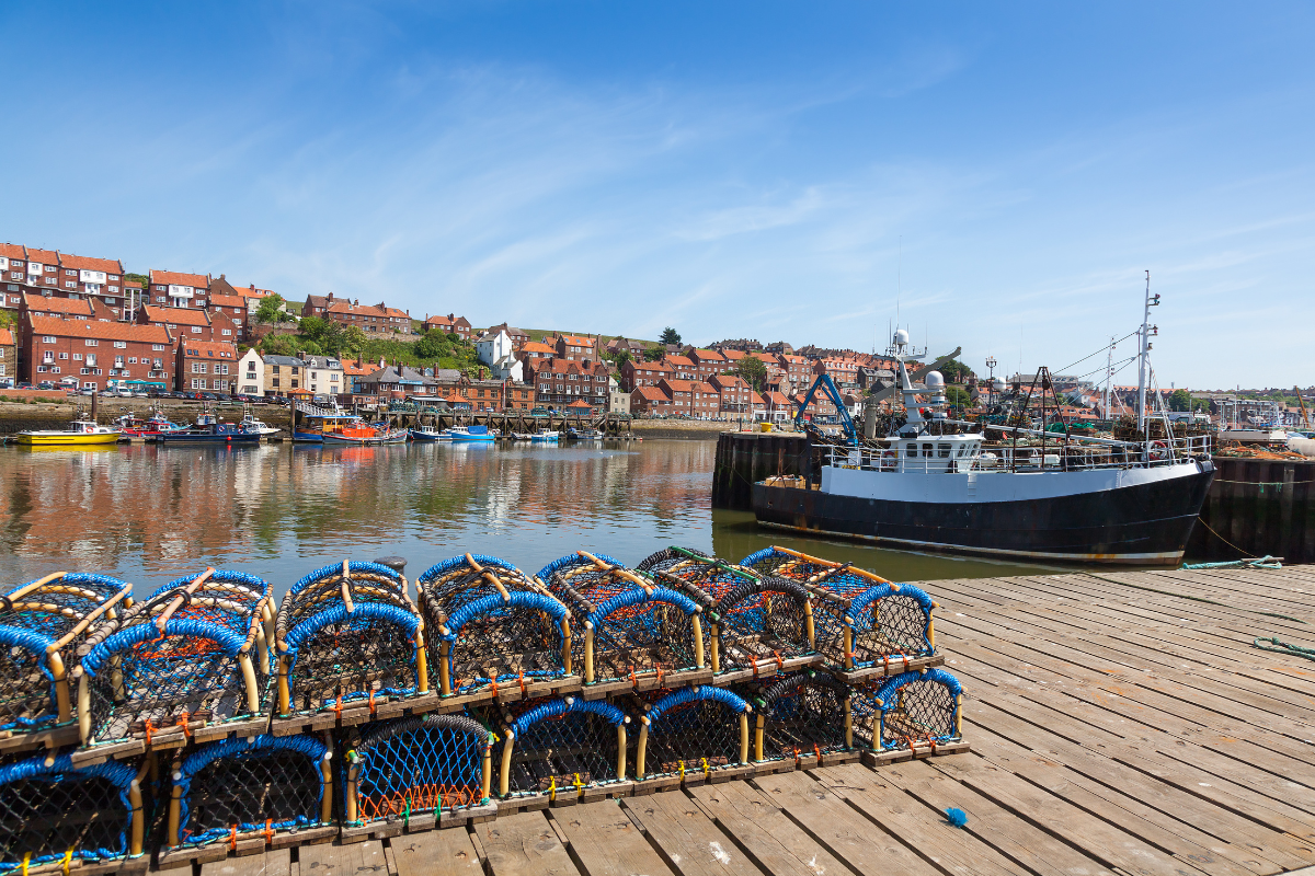 Celeb Cooks for Whitby Fish and Ships Pageant