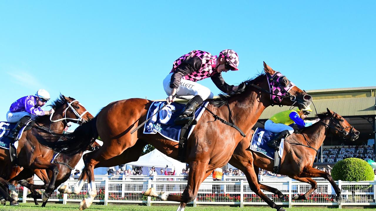 Queenslanders to color spring carnival maroon