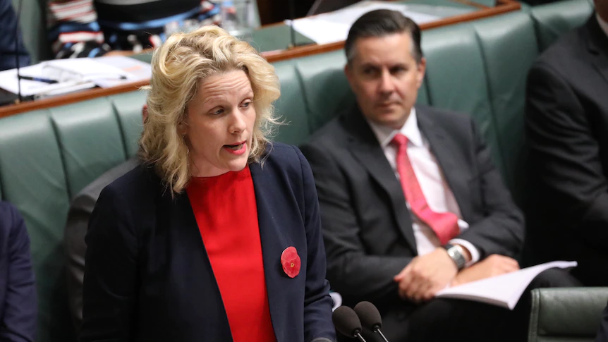 House affairs minister factors finger at Optus, saying hack shouldn’t have occurred